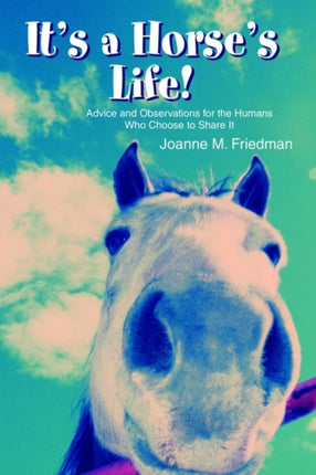 Its a Horses Life Advice and Observations for the Humans Who Choose to Share It