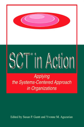 SCTsupsup IN ACTION APPLYING THE SYSTEMSCENTERED APPROACH IN ORGANIZATIONS