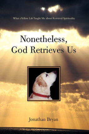Nonetheless God Retrieves Us What a Yellow Lab Taught Me About Retrieval Spirituality
