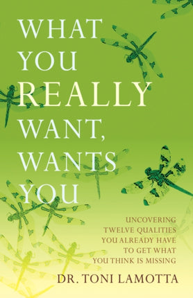 What You REALLY Want Wants You Uncovering Twelve Qualities You Already Have to Get What You Think Is Missing