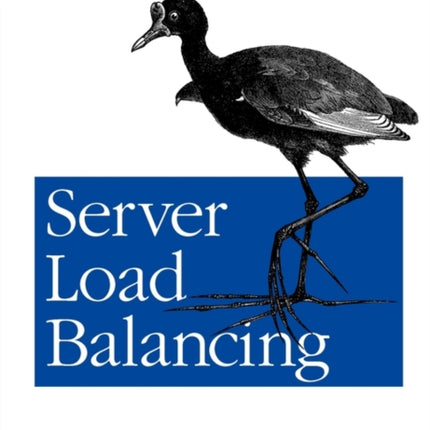 Server Load Balancing