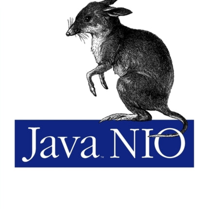 Java NIO