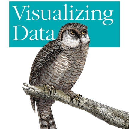 Visualizing Data