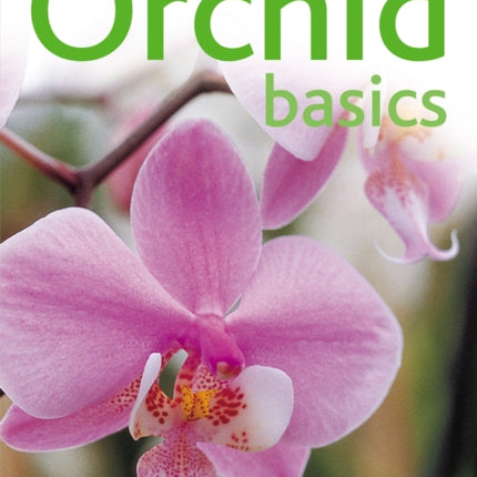 Orchid Basics Pyramids