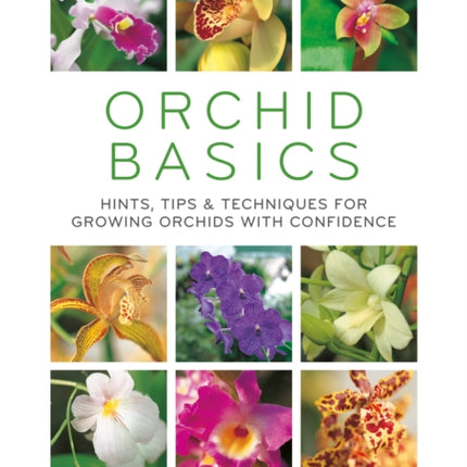 Orchid Basics