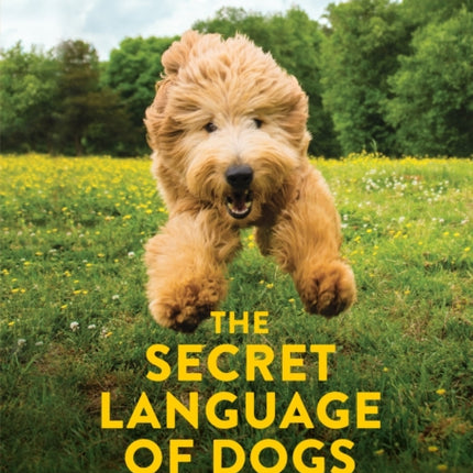 The Secret Language of Dogs: Unlocking the Canine Mind for a Happier Pet