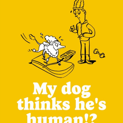 My dog thinks hes human