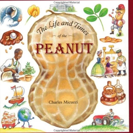 Life and Times of the Peanut