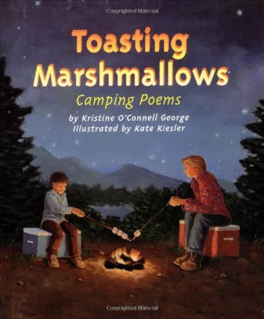 Toasting Marshmallows