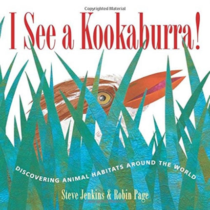 I See a Kookaburra!