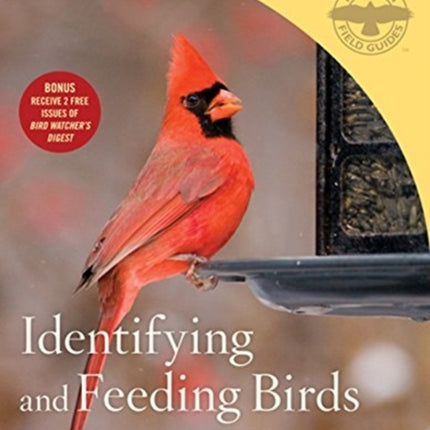 Identifying and Feeding Birds