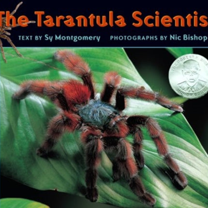 Tarantula Scientist