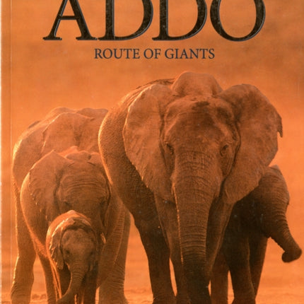 Greater Addo: Route of Giants