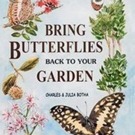 Bring Butterflies Back to Your Garden