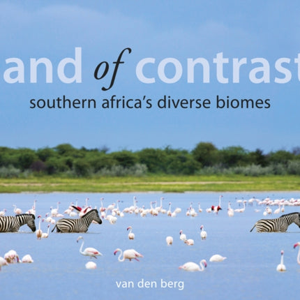 Land Of Contrast: Southern Africa's Diverse Biomes