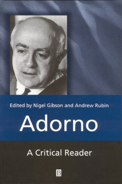 Adorno: A Critical Reader