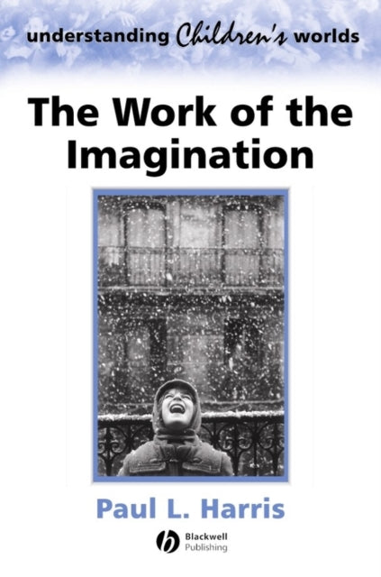 The Work of the Imagination