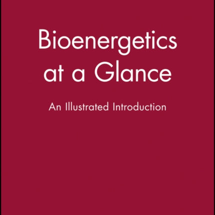 Bioenergetics at a Glance