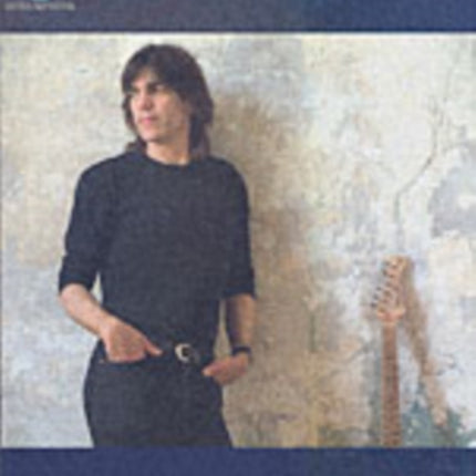 The Best of Mike Stern