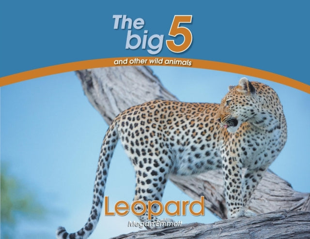Leopard The Big 5 and other wild animals