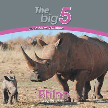 Rhino The Big 5 and other wild animals