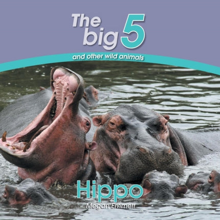 Hippo The Big 5 and other wild animals