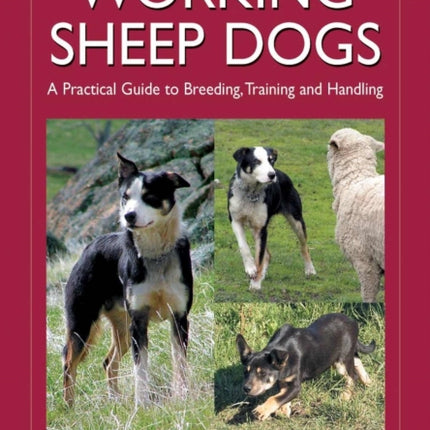 Working Sheep Dogs: A Practical Guide to Breeding, Training and Handling