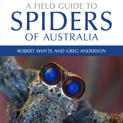 A Field Guide to Spiders of Australia