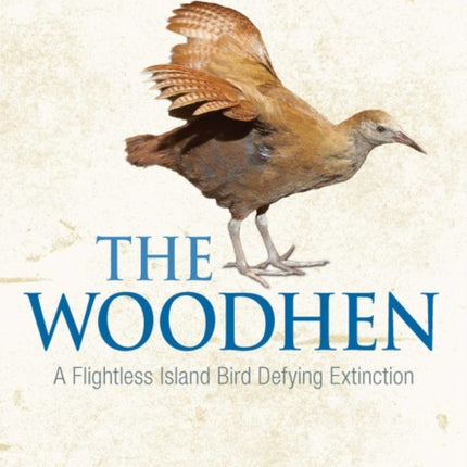 The Woodhen: A Flightless Island Bird Defying Extinction