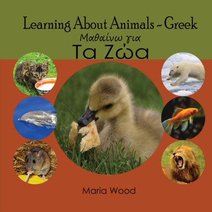 Learning About Animals Greek