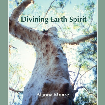Divining Earth Spirit An Exploration of Global and Australasian Geomancy