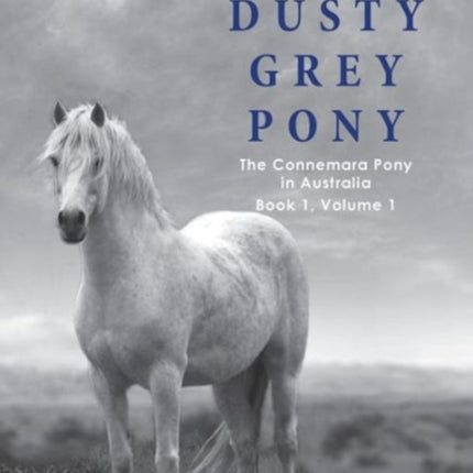 A Dusty Grey Pony Book 1 Volume 1