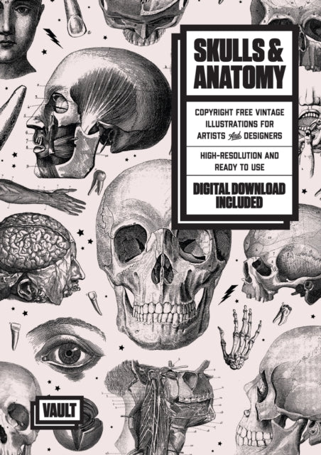 Skulls  Anatomy