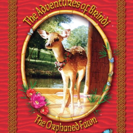 The Adventures of Brindi  The Orphaned Fawn