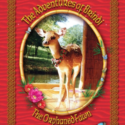 The Adventures of Brindi  The Orphaned Fawn
