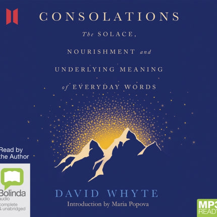 Consolations: The Solace, Nourishment and Underlying Meaning of Everyday Words