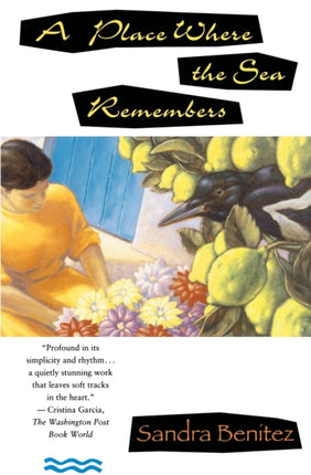 A Place Where the Sea Remembers Scribners