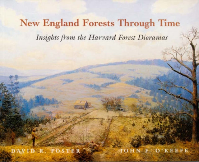 New England Forests Through Time: Insights from the Harvard Forest Dioramas