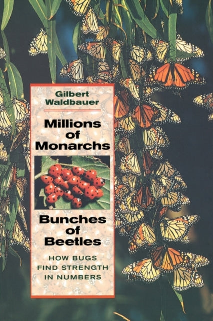 Millions of Monarchs, Bunches of Beetles: How Bugs Find Strength in Numbers