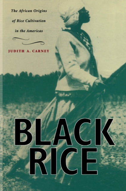 Black Rice: The African Origins of Rice Cultivation in the Americas