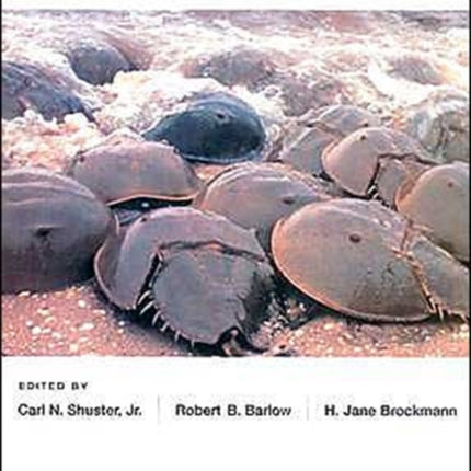The American Horseshoe Crab