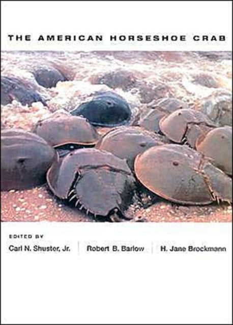 The American Horseshoe Crab