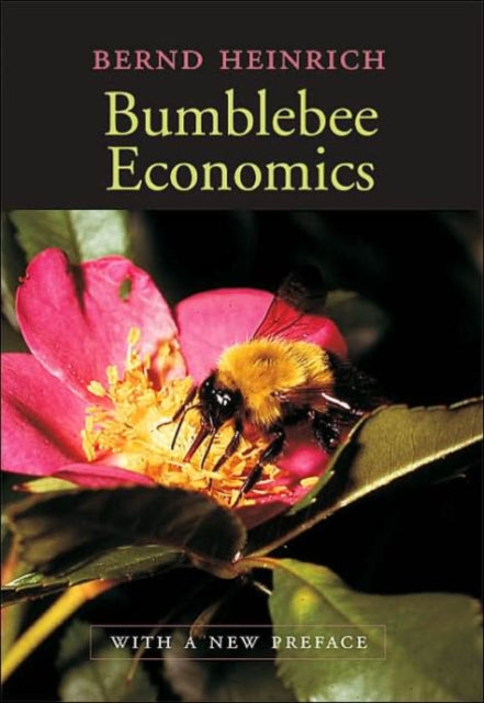 Bumblebee Economics: With a New Preface