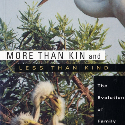 More than Kin and Less than Kind: The Evolution of Family Conflict