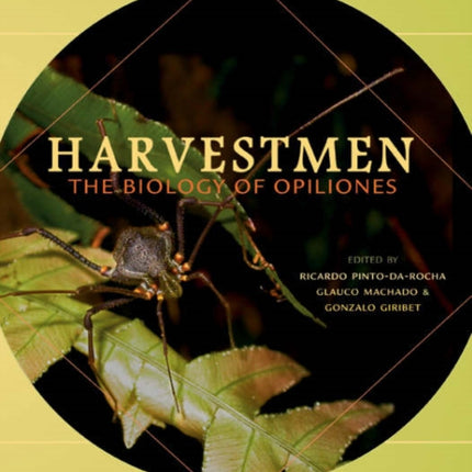 Harvestmen