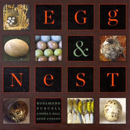 Egg & Nest