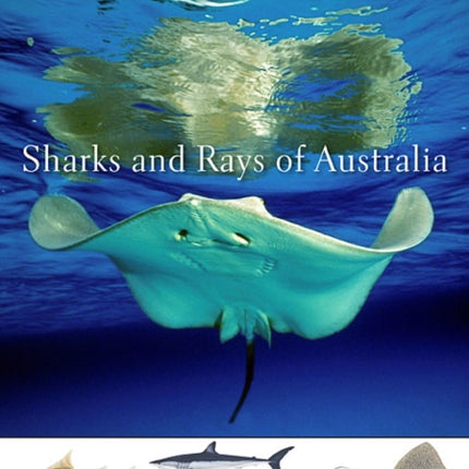 Sharks and Rays of Australia: Second Edition