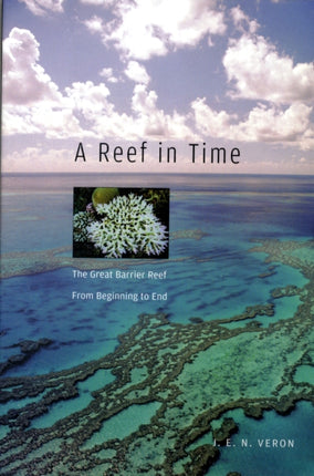 A Reef in Time