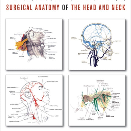 Surgical Anatomy of the Head and Neck