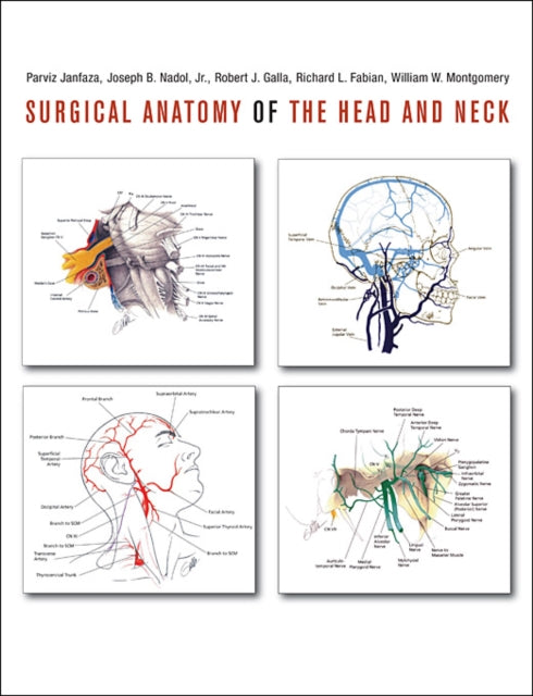 Surgical Anatomy of the Head and Neck